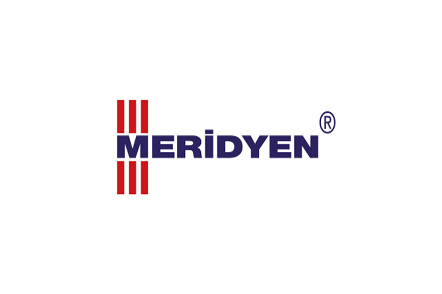 Meridyen Pul Başlı RYSB Matkap Uçlu Vida 4,8x25 MM 1000 Adet