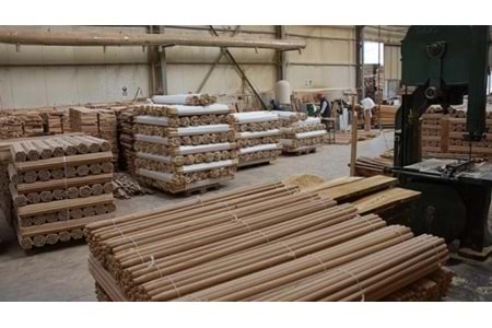 Fırça Sapı Gürgen 120 CM