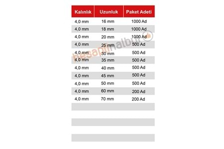 Meridyen Sunta Vidası 4x25 mm 500 Adet