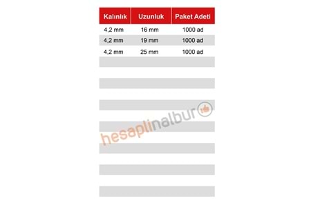 Meridyen Pul Başlı RYSB Matkap Uçlu Vida 4,2x16 MM 1000 Adet