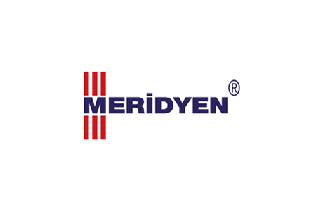 Meridyen Pul Başlı RYSB Matkap Uçlu Vida 4,8x25 MM 1000 Adet