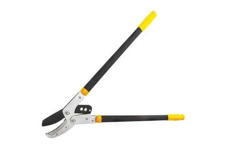 Dmax Dal Budama Makası Sabit DMX4231