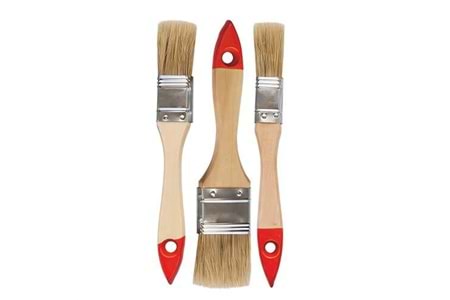 Dmax Kestirme Fırça Seti 3 Parça OZS8149