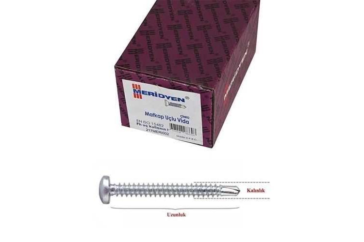 Meridyen YSB Matkap Uçlu Vida 3,9x22 MM 1000 Adet