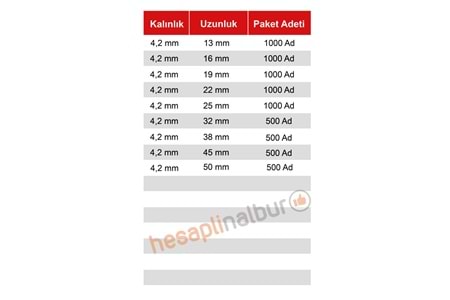 Meridyen YSB Matkap Uçlu Vida 4,2x25 MM 1000 Adet